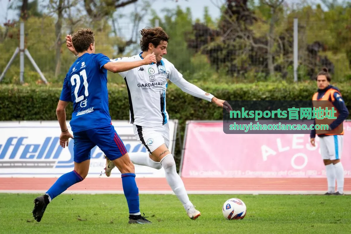 mksports官网地址功能分区顺序调整说明配图