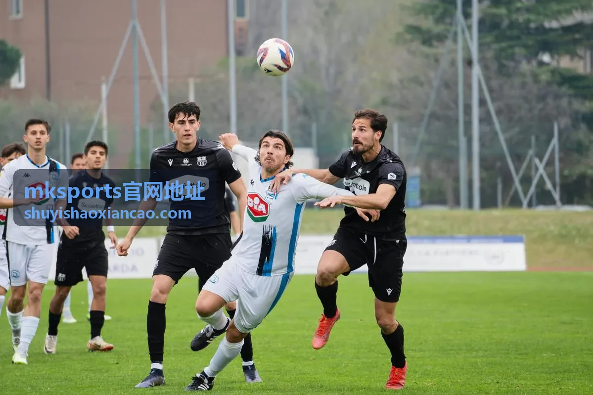 mksports官网地址 常见问题与安全核对流程示意